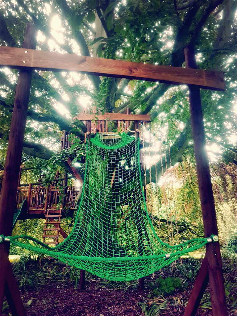 Canopy Climb