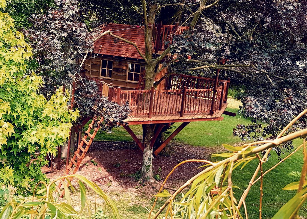 Up In The Trees