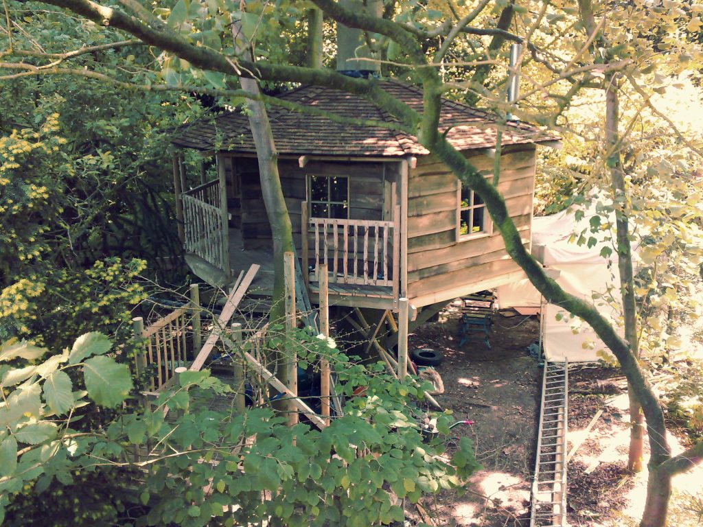 Woodland Home