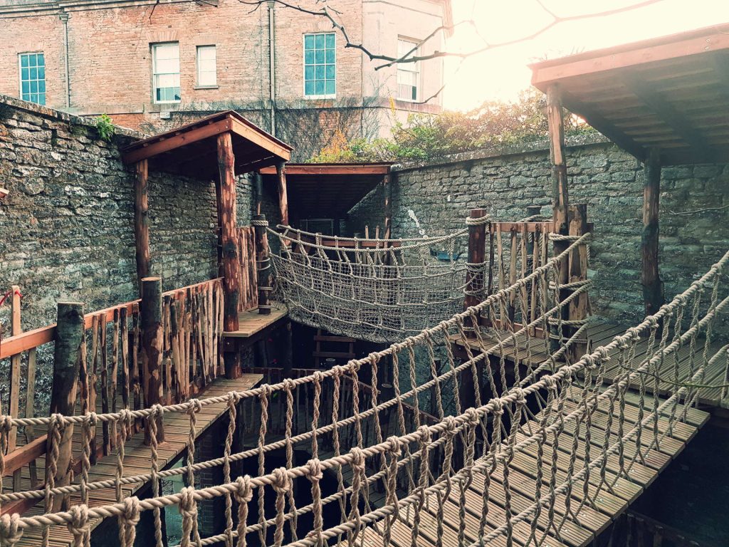 Within the Castle Walls