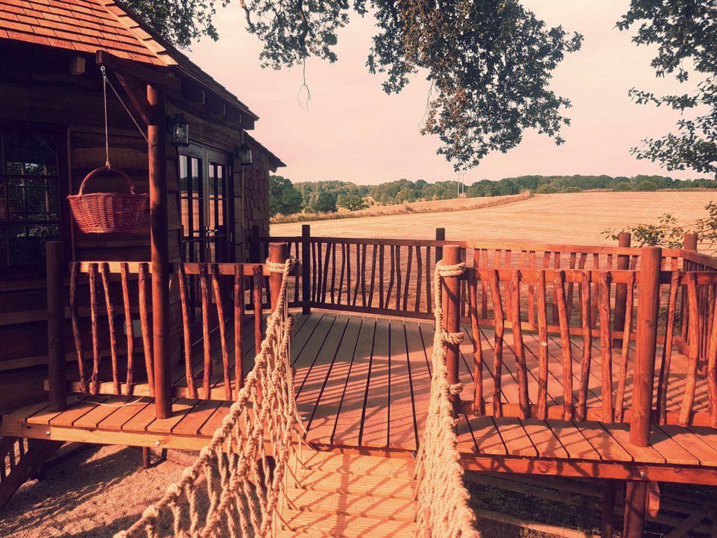 Tree Top Life